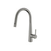 DOLCE PULL OUT SINK MIXER WITH VEGIE SPRAY FUNCTION (NR581009CCH)